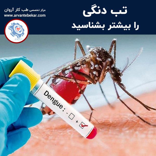 تب دنگی را بیشتر بشناسید | طب کار آروان ⭐️